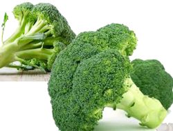 Vitamin U, Si ‘Penyembuh Maag’ dari Sayuran Brokoli