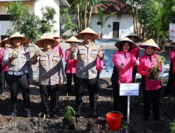 Dukung Ketahanan Pangan, Kapolda Kalteng Bersama Bhayangkari Panen Sayur di Lahan Pekarangan Pangan Lestari
