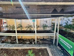 Lahan Kosong Biro SDM Polda Sulsel Disulap Menjadi Pekarangan dan Kolam Ikan