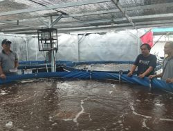 Berikan Apresiasi, Kapolsek Biringkanaya Kunjungi Lokasi Budidaya Ikan Air Tawar di Katimbang