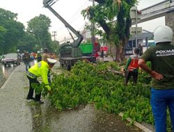 Polsek Biringkanaya Lakukan Pengaturan Lalu Lintas saat Pemangkasan Pohon di Jalan Perintis Kemerdekaan
