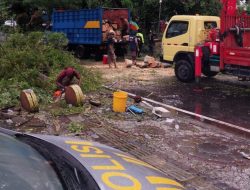 Pohon Tumbang di Jalan Slamet Riyadi, Polsek Ujung Pandang Koordinasi dengan Dinas Terkait