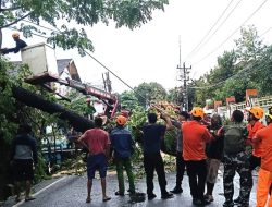 3 Pilar Karunrung Sigap Tangani Pohon Tumbang, Akses Jalan Warga Kembali Lancar