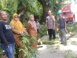 Bhabinkamtibmas Berua Dampingi Lurah Pantau Pemangkasan Pohon Demi Keselamatan Warga