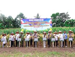 Panen Raya Jagung Serentak Kuartal II Tahun 2026, Kapolda Sulsel Dorong Ketahanan Pangan Nasional di Pangkep