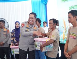 Kapolda Sulsel Panen Jagung di Pangkep, 3 Ha Lahan Capai Produksi 18 Ton Jagung