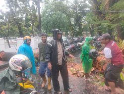 Polisi Bersama DLH dan BPBD Evakuasi Pohon Tumbang di Samping Rujab Gubernur