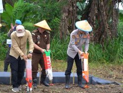 Ketahanan Pangan Jadi Prioritas, Polda Sulsel Optimalkan Lahan Binaan untuk Produksi Jagung Nasional