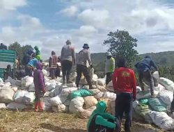 Ketahanan Pangan untuk Negeri: Polda Sulsel dan Bulog Bersinergi Menjaga Kesejahteraan Petani Jagung